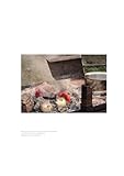 Grillen Argentinisch: Die sieben Feuer Patagoniens - 7