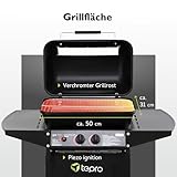 Lavasteingasgrill von Tepro - 6